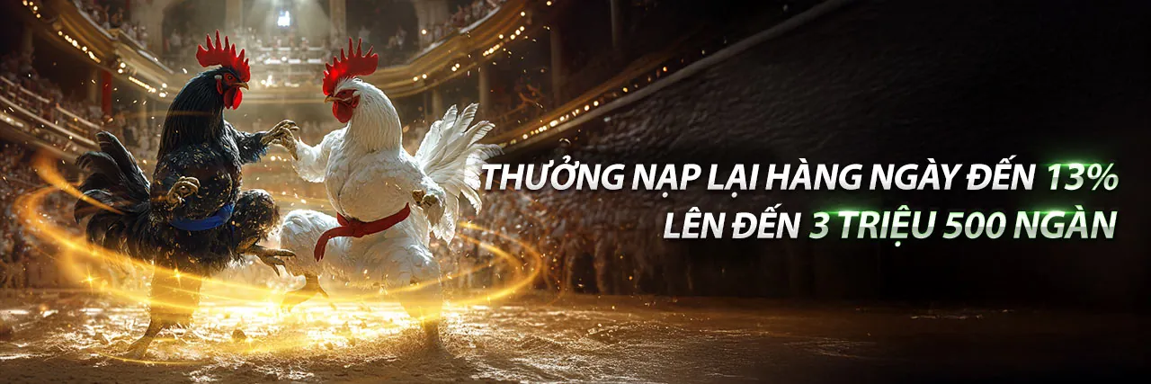 Kingfun - Nền tảng giải trí cá cược trực tuyến uy tín hàng đầu